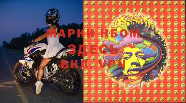 соль ск Алзамай